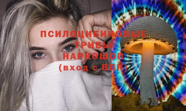 ПСИЛОЦИБИНОВЫЕ ГРИБЫ Богданович
