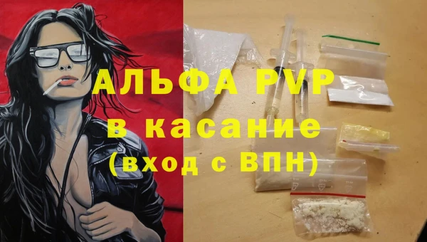 крисы Богородицк