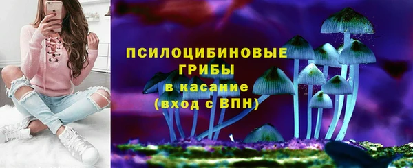 крисы Богородицк